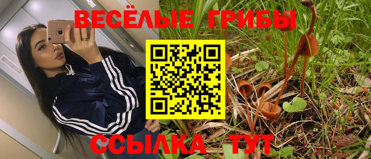 Псилоцибиновые грибы Magic Shrooms Дивногорск